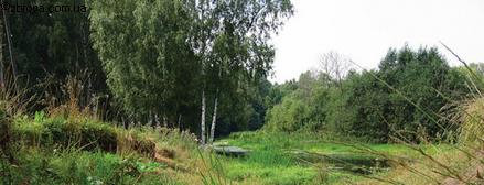 > <p>Под тесно росшими сосенками молодой посадки я увидел свежий заячий малик. Беляка стронул еще на заре, видимо, Максимыч, но он запутал старика и его собаку и, не торопясь, ушел за посадку, к лесному мысу. Там он лег в ельнике, а потом услышал, как елочки разгибаются и осыпают снегом мои сапоги и брюки, и тогда встал и поскакал прямиком по чистым до боли простыням поля к другому перелеску. Солнце плавилось где-то за редкими тучами; белело так нетронуто, что страшно было ступать. Кое-где коготки заячьих лап срывали белизну с комьев пашни. Заяц лег в засохшем бурьяне на меже у редких берез, и когда бурьян захрустел под сапогами, я сквозь сжатое дыхание услышал другой шелест и увидел уши, которые, ныряя, понеслись прочь через бурые стебли, и услышал круглое 