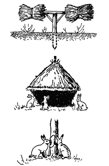 Снопы, стожок и солонка для подкормки