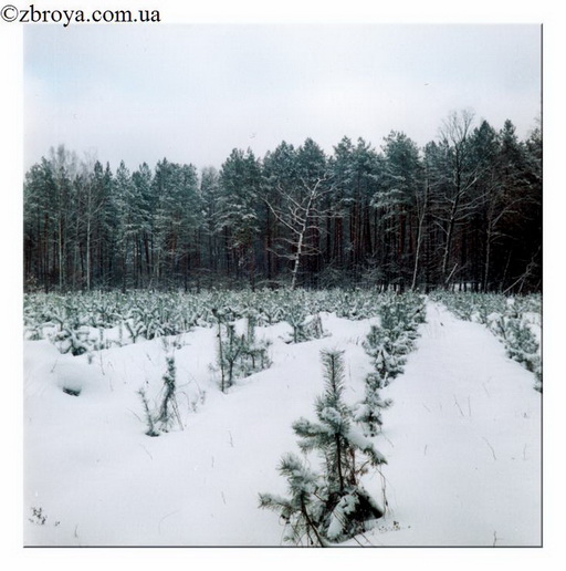 > <p>В предрассветных сумерках на автобусной остановке толчея — желающих хоть отбавляй, а мест, как всегда, мало. Сначала садятся те, что с билетами, потом уже все остальные плотно набиваются. Мы с билетами сели на места, едем на зайцев: отец, его друг Леонид Алексеевич и я.</p><p> Гудит автобусный мотор, бежит ровной лентой шоссе, а вокруг белые поля и посадки, припорошенные свежим снегом. И так хочется поскорее окунуться в эти просторы!</p> 