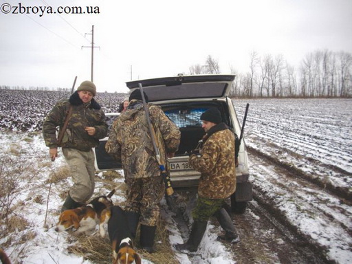 > <p>Мне выпало идти по той стороне, что прилегала к полям. На снегу было множество заячьих следов и я подумал, что есть шанс кроме лисы добыть еще и зайца. Загонщики с собаками пошли по другой стороне. Вскоре гончие взяли след, но к всеобщему огорчению они рванули не в камыш, а в кустарник. Зимний воздух хорошо доносил их азартный лай с подвыванием, говоривший о том, что они гонят лису. Вот послышались и выстрелы, крики загонщиков, но так и не было понятно: взяли лису или нет. Гончие продолжали работать. Складывалось впечатление, что в кустарнике отдыхало много лисиц, но, ни одна не выходила к камышу.</p>