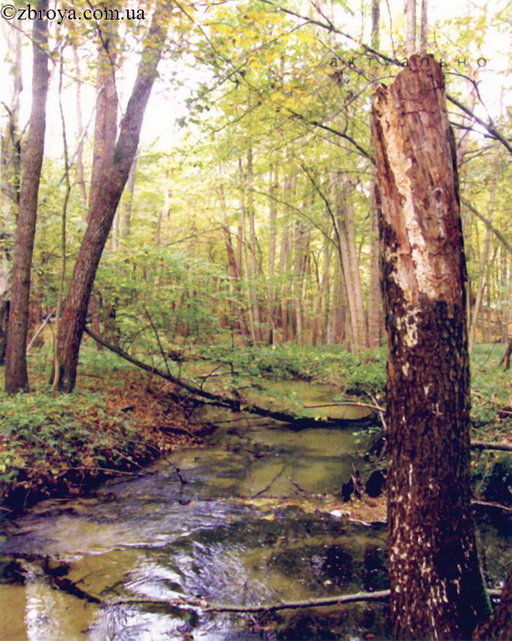 > <p>Так и я так же. Взглянешь на ружье, вспомнишь, что в это время пять раз, сто раз со стены его снимешь, в руках повертишь, улыбнешься и опять на стенку повесишь. Бывает, как живому существу подмигнешь ружью и вслух скажешь: 