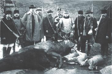 ><p>На відміну від жителів рівнинної території, в яких головним господарським заняттям було рослинництво, гуцули, займаючись в основному тваринництвом, з осторогою ставились до звірів, що загрожували їхнім свійським тваринам.</p><p> Так як навколишнє середовище є одним із основних факторів формування особистості людини, така близькість до природи, з її рослинним та тваринним світом, мала визначальне значення на формування світогляду гуцулів. Географічне середовище є одним із вирішальних факторів суспільного розвитку. В процесі історичного розвитку продуктивних сил відповідного регіону життя і побут людини залежить від навколишніх природних умов, які істотно впливають на її господарську діяльність, матеріальну і духовну культуру. Поряд з загальноприйнятим християнством, в душі гуцули тяжіють до язичництва. Про це свідчить цілий ряд старовинних мисливських традицій, заклинань та ворожок для вдалого полювання.