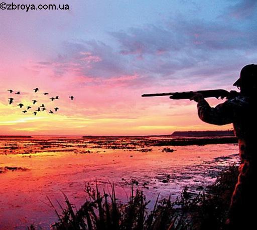 Охота с хистом