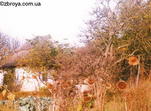 В полях за Борисполем