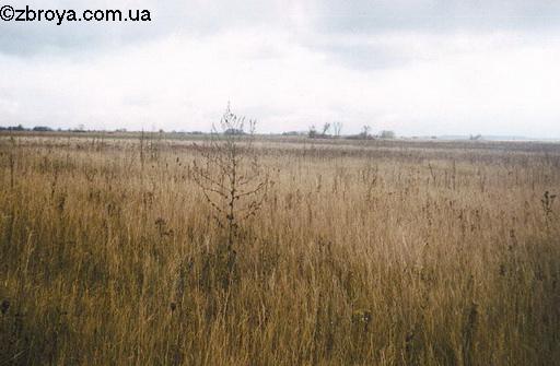 В полях за Борисполем