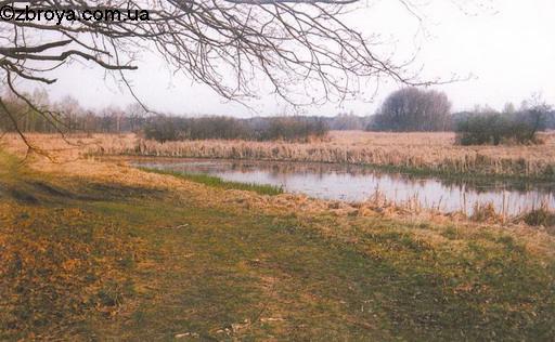 В полях за Борисполем