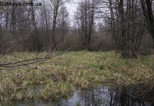 Весенняя пора