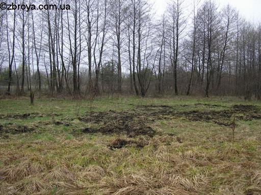 Весенняя пора