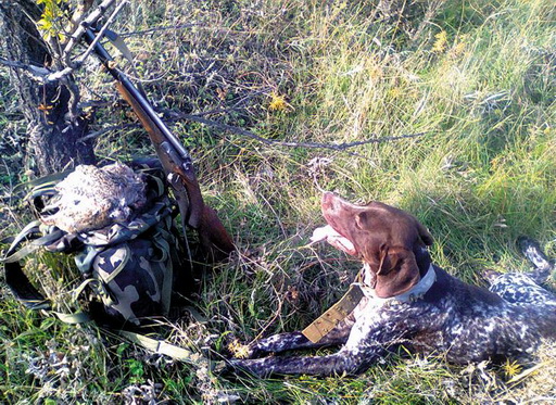 Осенние стрельбы