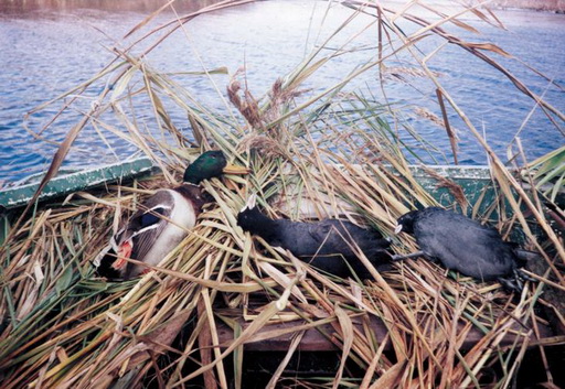 С первым снегом